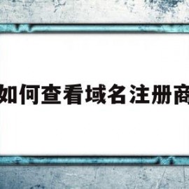如何查看域名注册商(如何查看域名注册商标)