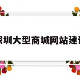 深圳大型商城网站建设(深圳大型商城网站建设项目)