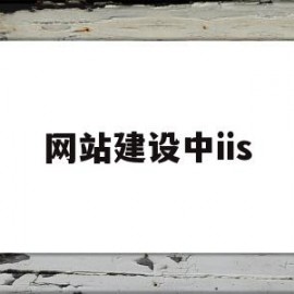 网站建设中iis(网站建设中要尽量使用图片,并且图片越大越好)