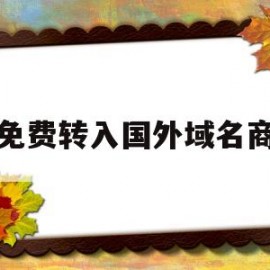 免费转入国外域名商(域名国外转移国内几天)