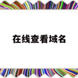 在线查看域名(在线查看域名证书信息查询)