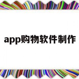 app购物软件制作(app购物软件制作教程)