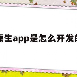 原生app是怎么开发的(原生app用什么语言开发)