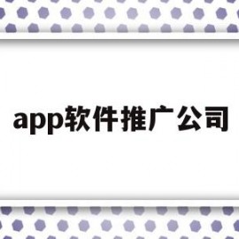 app软件推广公司(app软件推广公司排名)