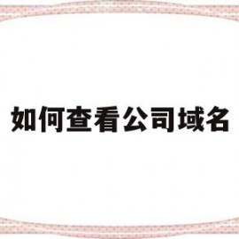 如何查看公司域名(如何查看公司域名信息)