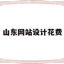 山东网站设计花费(网站设计费计入什么科目)