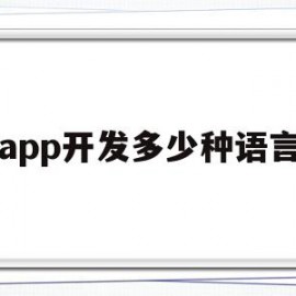 app开发多少种语言(app开发多少种语言类型)