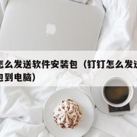 钉钉怎么发送软件安装包（钉钉怎么发送软件安装包到电脑）