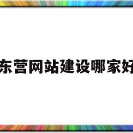 东营网站建设哪家好(网站建设优化哪家公司好)