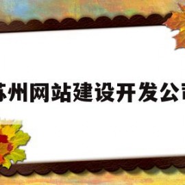苏州网站建设开发公司(苏州网站建设开发公司有哪些)
