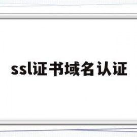 ssl证书域名认证(ssl证书域名认证追加Ip)