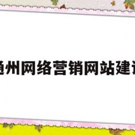 通州网络营销网站建设(通州网络营销网站建设项目)