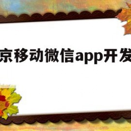 北京移动微信app开发公司(北京移动微信app开发公司有哪些)