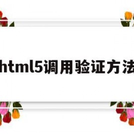 html5调用验证方法(html5怎么调用js)