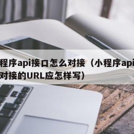 小程序api接口怎么对接（小程序api接口对接的URL应怎样写）