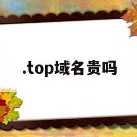 .top域名贵吗(top域名真的做不起来吗)