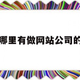哪里有做网站公司的(哪里有做网站公司的平台)