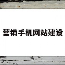 营销手机网站建设(手机网络营销方案案例范文)