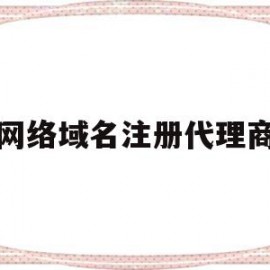 网络域名注册代理商(代理域名注册服务机构)