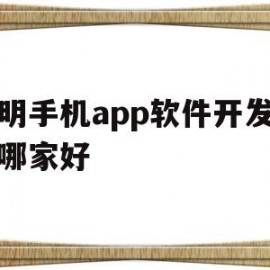 昆明手机app软件开发公司哪家好的简单介绍