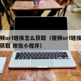 视频url链接怎么获取（视频url链接怎么获取 微信小程序）