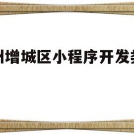 广州增城区小程序开发类公司(广州增城区小程序开发类公司有哪些)