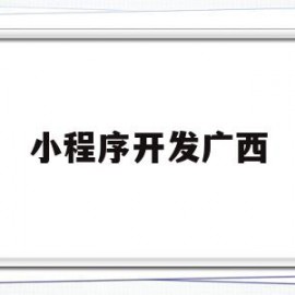 小程序开发广西(小程序开发全过程)