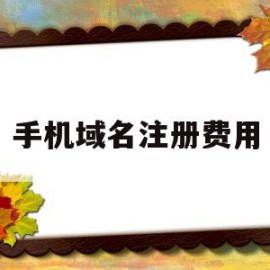 手机域名注册费用(注册点手机域名要多少钱)