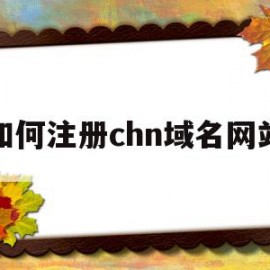 关于如何注册chn域名网站的信息