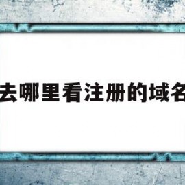 去哪里看注册的域名(怎么查域名注册信息查询)