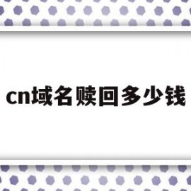 cn域名赎回多少钱(域名过了赎回期还能续费吗)