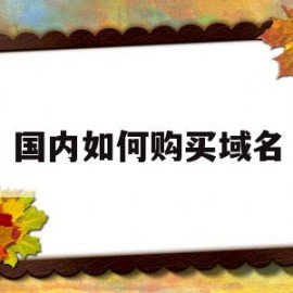 国内如何购买域名(在哪里购买域名比较便宜)