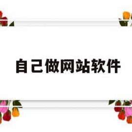 自己做网站软件(自己做网站软件下载)