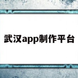 武汉app制作平台(武汉app定制开发)