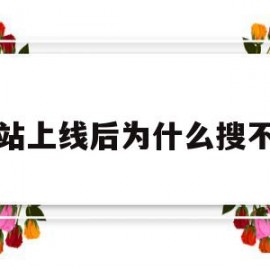 网站上线后为什么搜不到(网站上线后为什么搜不到视频)