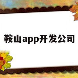 鞍山app开发公司(鞍山开发软件安全检测)