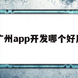 广州app开发哪个好用(广州有哪些好的软件开发公司)