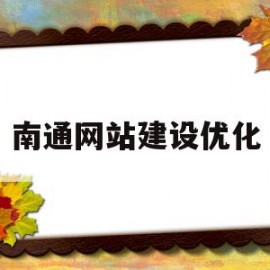 南通网站建设优化(南通网站建设方案咨询)