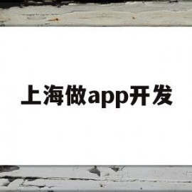 上海做app开发(上海做app开发公司工资不发怎么办)