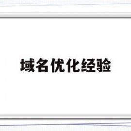 域名优化经验(域名优化经验总结)