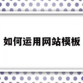 如何运用网站模板(如何运用网站模板做ppt)