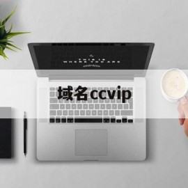 域名ccvip(注册域名怎么注册)