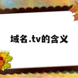 域名.tv的含义的简单介绍