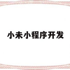 小未小程序开发(未发布的小程序开发版)