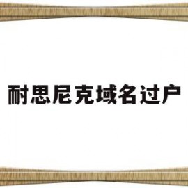 耐思尼克域名过户(耐思尼克域名注册)