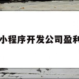 小程序开发公司盈利(小程序开发公司盈利价格表)