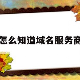 怎么知道域名服务商(怎么查询域名注册服务商)