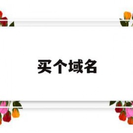 买个域名(买个域名 只能让特定人登录)