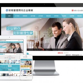财税管理顾问企业网站模板