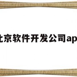 北京软件开发公司app(北京软件开发公司名单1000家)